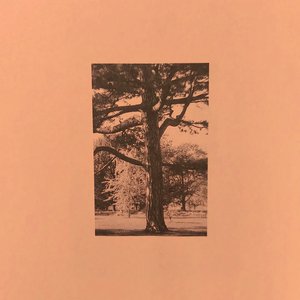 美女陰戶大合集
